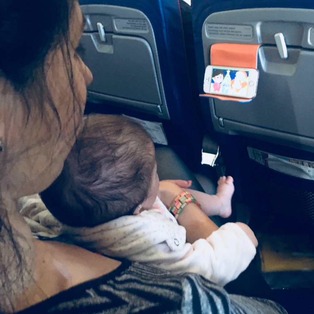 phone holder for airplane seat